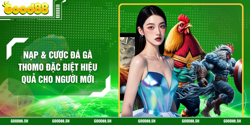 Nạp & Cược Đá Gà Thomo Đặc Biệt Hiệu Quả Cho Người Mới